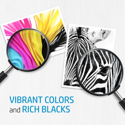 HP 64 Black Standard Yield Ink Cartridge (N9J90AN)