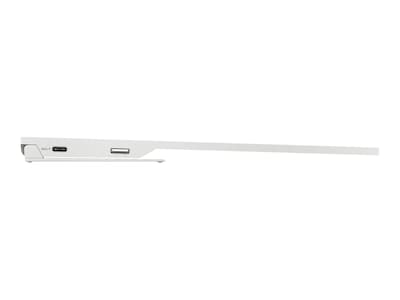 HP E14 G4 14" Portable LED Monitor, Silver (1B065AA#AC3)