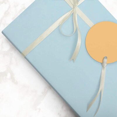 JAM Paper Wrapping Paper, 25 Sq. ft. x 30", Matte Light Baby Blue/Pool Blue, 2/Pack (170128192A)
