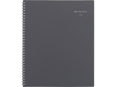 2022 AT-A-GLANCE 8.5 x 11 Weekly & Monthly Appointment Book, DayMinder, Gray (GC520-07-22)