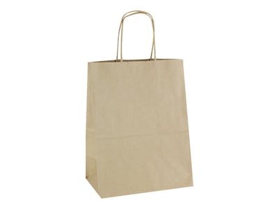 10.5 x 8.25 x 4.75 Kraft Paper Shopping Bags, Kraft, 250/Carton (KRAFT8510)