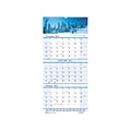 2022 House of Doolittle 26 x 12 Wall Calendar, Earthscapes Scenic, Multicolor (3638-22)