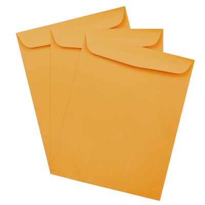 JAM Paper #15 1/2 Catalog Envelope, 12" x 15 1/2", Brown Kraft, 100/Pack (900493255)