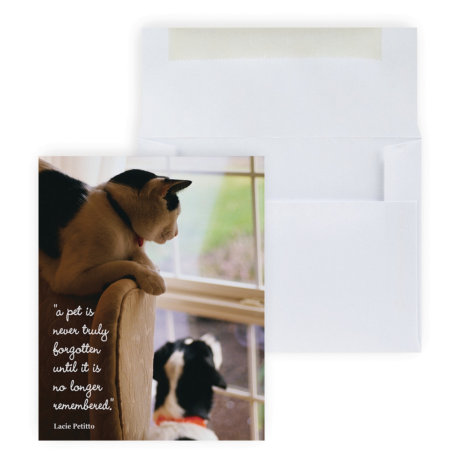 Custom Pet Remembered Sympathy Cards, With Envelopes, 4-1/4 x 5-3/8, 25 Cards per Set