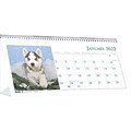 2022 House of Doolittle 4.5 x 8.5 Desk Calendar, Earthscapes Puppies, Multicolor (3659-22)