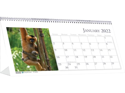 2022 House of Doolittle 4.5 x 8.5 Desk Calendar, Earthscapes Wildlife, Multicolor (3689-22)