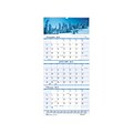 2022 House of Doolittle 17 x 8 Wall Calendar, Earthscapes Scenic, Multicolor (3636-22)