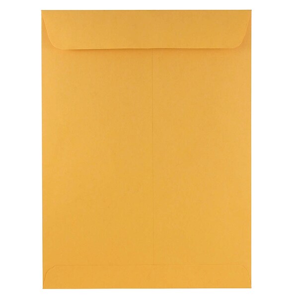 JAM Paper Open End Catalog Envelope, 9 x 12, Brown Kraft, 100/Pack (4132)
