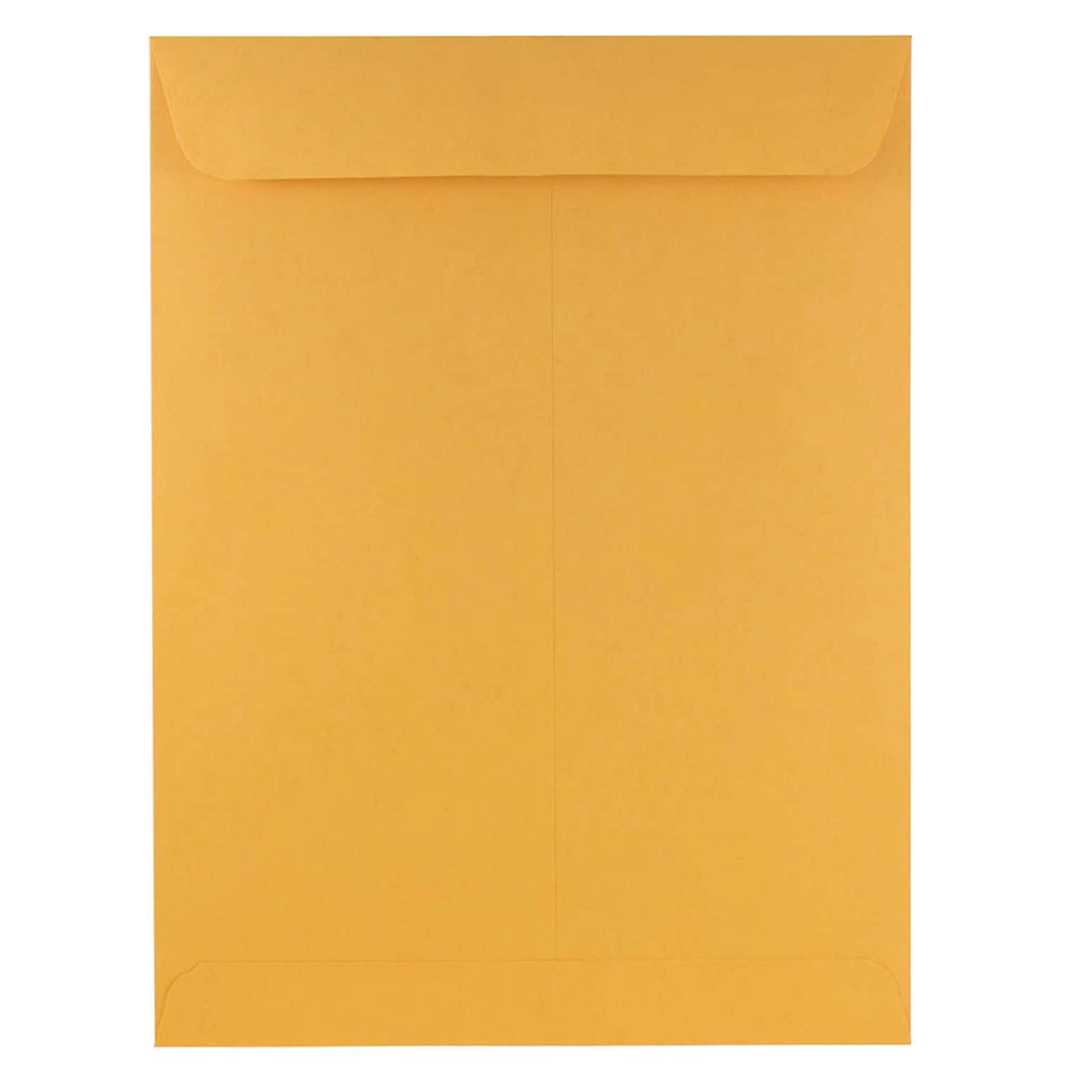 JAM Paper Open End Catalog Envelope, 9 x 12, Brown Kraft, 100/Pack (4132)