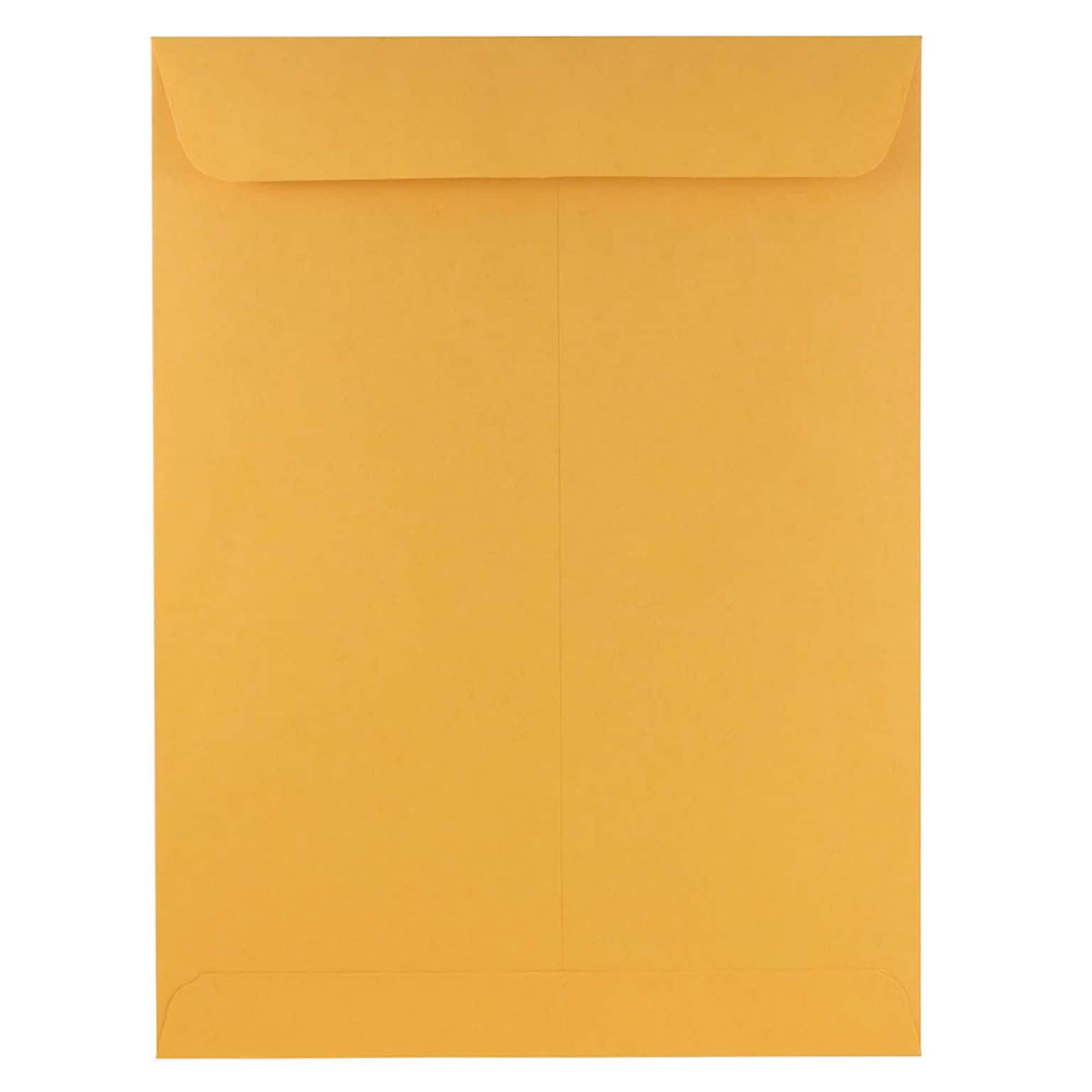 JAM Paper Open End Nonstandard Catalog Envelope, 9 x 12, Brown Kraft, 100/Pack (4132)