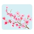 OTM Essentials Prints Cherry Blossoms Mouse Pad, Blue/Pink/Brown (OP-MH-A03-12C)