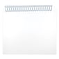 JAM Paper® 10 x 13 Booklet Envelopes with Peel and Seal Closure, White, 100/Pack (356828787D)