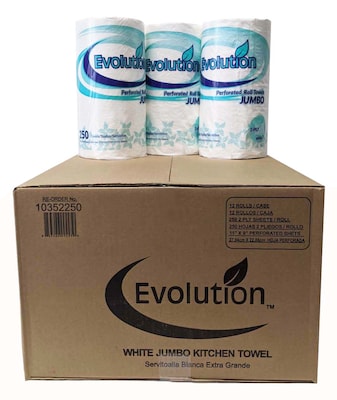 Evolution Paper Towels, 2-ply, 250 Sheets/Roll, 12 Rolls/Pack (PRO00495)