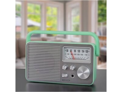 Jensen MR-750 Portable AM/FM Radio, Green (MR-750-GR)