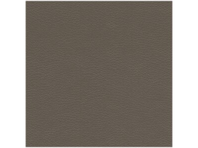 Bush Furniture Arden Lane Leather Swivel Office Chair, Washed Gray (CH2301WGL-03)