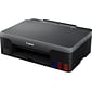 Canon PIXMA G1220 MegaTank Color Borderless Printer (4469C002AA)