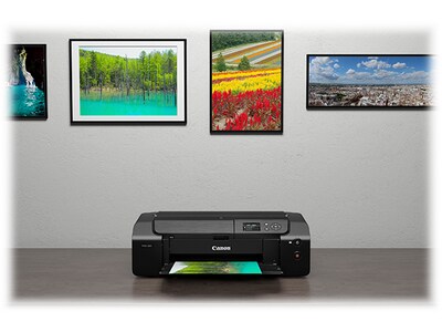 Canon PIXMA PRO-200 Inkjet Printer, Single-Function, Print (4280C002AA)