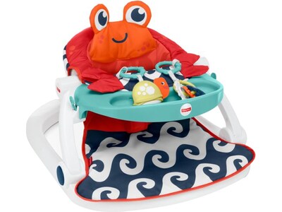 Fisher-Price Sit-Me-Up Fabric Kids Floor Seat with Tray, Multicolor (GBL28)