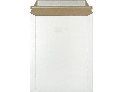 9.75 x 12.25 Self-Sealing Fiberboard Mailer, 100/Carton (MJ4)