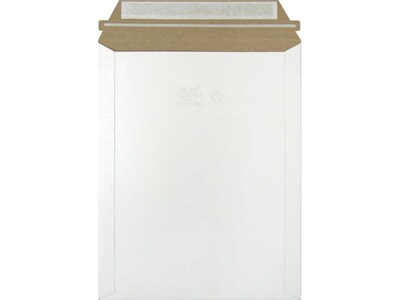 9 x 11.5 Self-Sealing Fiberboard Mailer, 100/Carton (MJ3)