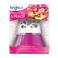 Bright Air Scented Oil & Holder, Fresh Petals & Peach (900134)