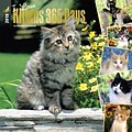 I Love Kittens 365 Days 2018 12 x 12 Inch Square Wall Calendar with Foil Stamped Cover