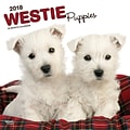 West Highland White Terrier Puppies 2018 12 x 12 Inch Square Wall Calendar