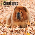 Chow Chows 2018 12 x 12 Inch Square Wall Calendar