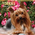 Yorkshire Terriers 2018 12 x 12 Inch Square Wall Calendar with Foil Stamped Cover