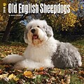 Old English Sheepdogs 2018 12 x 12 Inch Square Wall Calendar