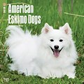 American Eskimo Dogs 2018 12 x 12 Inch Square Wall Calendar