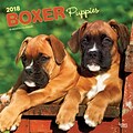 Boxer Puppies 2018 12 x 12 Inch Square Wall Calendar