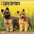 Cairn Terriers 2018 12 x 12 Inch Square Wall Calendar