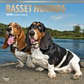 Basset Hounds 2018 12 x 12 Inch Square Wall Calendar with Foil Stamped Cover