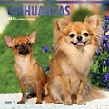 Chihuahuas 2018 12 x 12 Inch Square Wall Calendar with Foil Stamped Cover