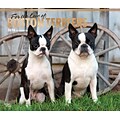 For the Love of Boston Terriers 2018 Deluxe Wall Calendar with Foil Stamped Cover