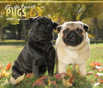 For the Love of Pugs 2018 Deluxe Wall Calendar with Foil Stamped Cover