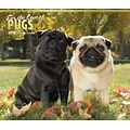 For the Love of Pugs 2018 Deluxe Wall Calendar with Foil Stamped Cover