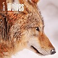 Wolves 2018 Mini 7 x 7 Inch Wall Calendar