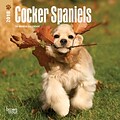 Cocker Spaniels 2018 Mini 7 x 7 Inch Wall Calendar