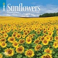 Sunflowers 2018 7 x 7 Inch Monthly Mini Wall Calendar