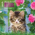 For the Love of Kittens 2018 Mini 7 x 7 Inch Wall Calendar with Foil Stamped Cover