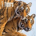 Tigers 2018 Mini 7 x 7 Inch Wall Calendar