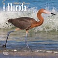 Florida, Wild & Scenic 2018 7 x 7 Inch Monthly Mini Wall Calendar