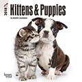 Kittens & Puppies 2018 Mini 7 x 7 Inch Wall Calendar