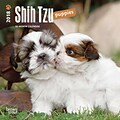 Shih Tzu Puppies 2018 Mini 7 x 7 Inch Wall Calendar