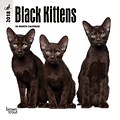 Black Kittens 2018 Mini 7 x 7 Inch Wall Calendar