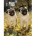 Pugs 2018 Engagement Calendar