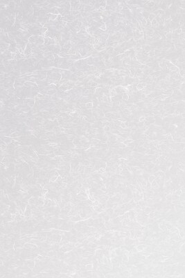 Artscape Rice Paper Sidelight 12 In. x 83 In. Window Film (01-0123) | Quill