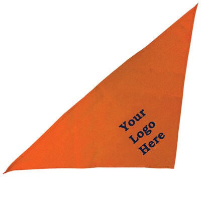 Custom Large Triangle Bandana